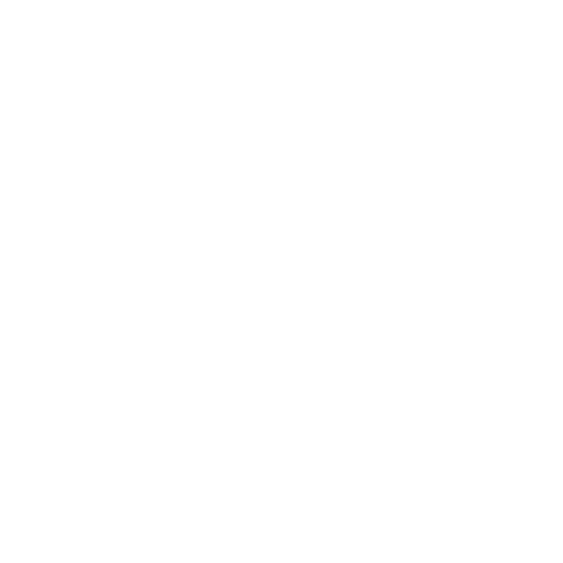 VZ